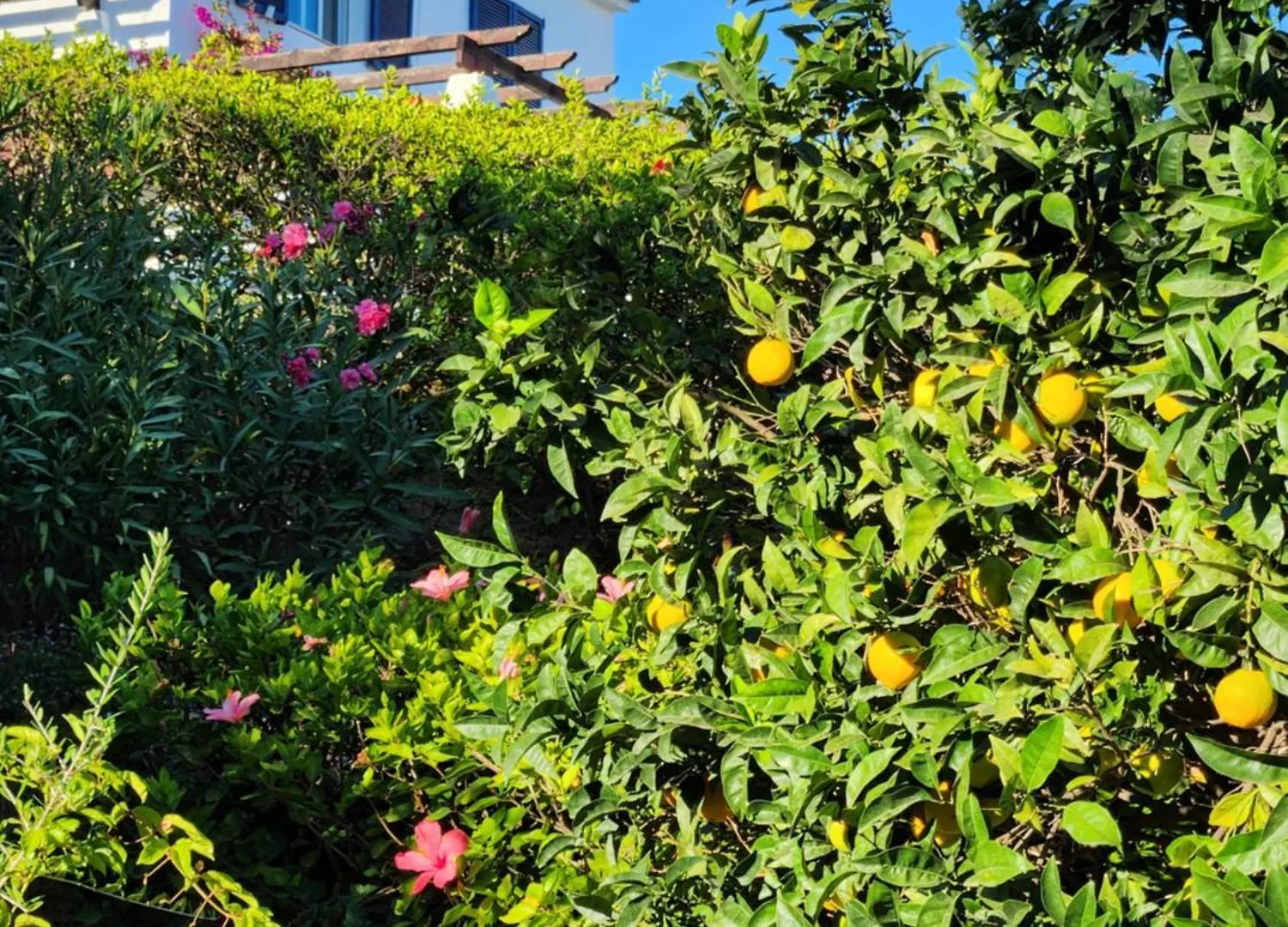 Apartment Elena Flat A Little Paradise Right On The Beach Sitio de Calahonda
